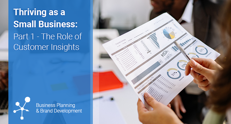 Thriving as a Small Business – Part 1: The Role of Customer Insights