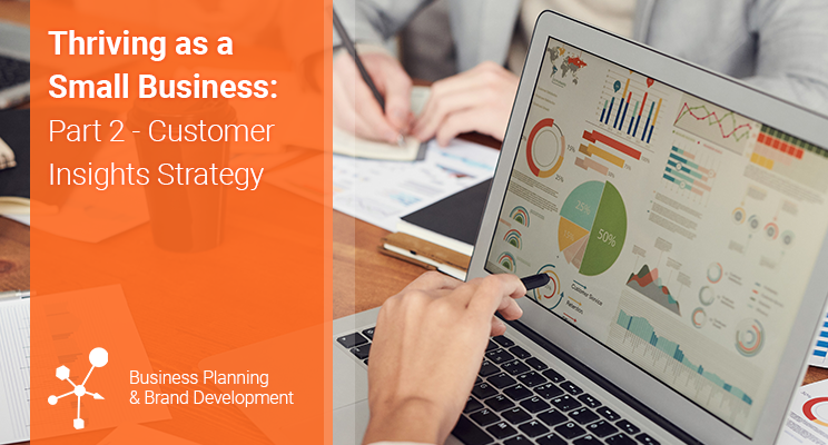 Thriving as a Small Business – Part 2: Customer Insights Strategy